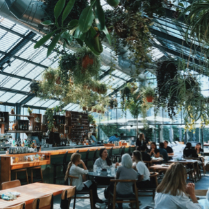 inside view of restaurant with plants hanging from ceiling